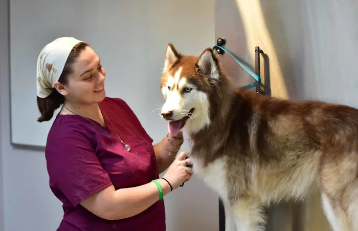 Four Seasons Animal Hospital Picture 8