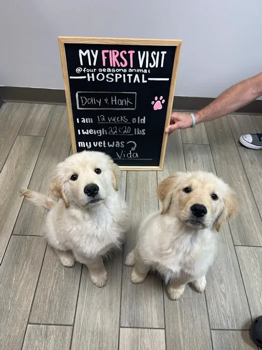 Four Seasons Animal Hospital Picture 6