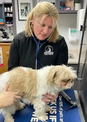 Four Seasons Animal Hospital Picture 10