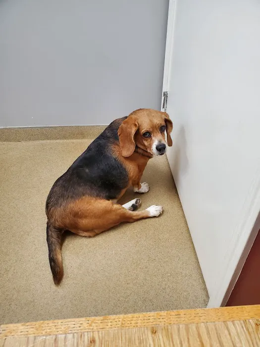 Lake Station Pet Clinic Picture 2