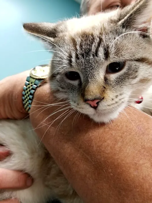 Lake Station Pet Clinic Picture 10