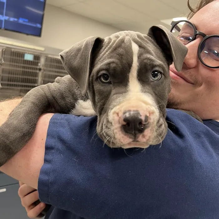 Coyne Veterinary Center - Portage Picture 2