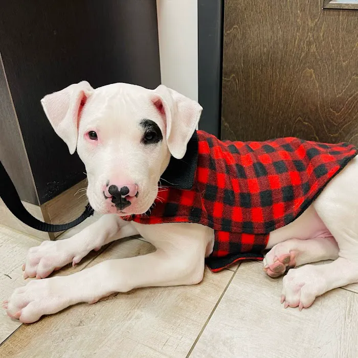 Coyne Veterinary Center - Portage Picture 1
