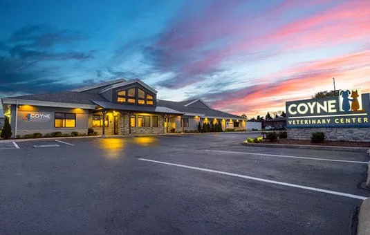 Coyne Veterinary Center - Portage Picture 6