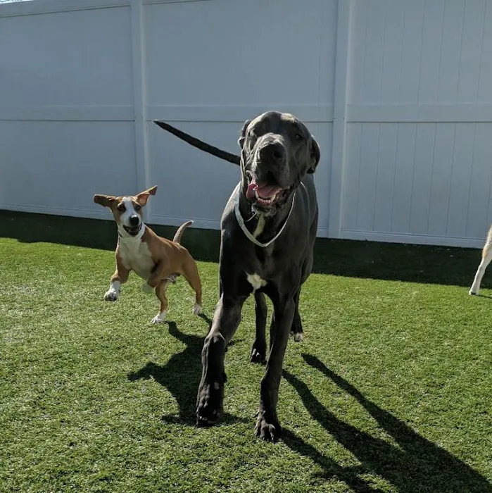Coyne Veterinary Center - Portage Picture 3