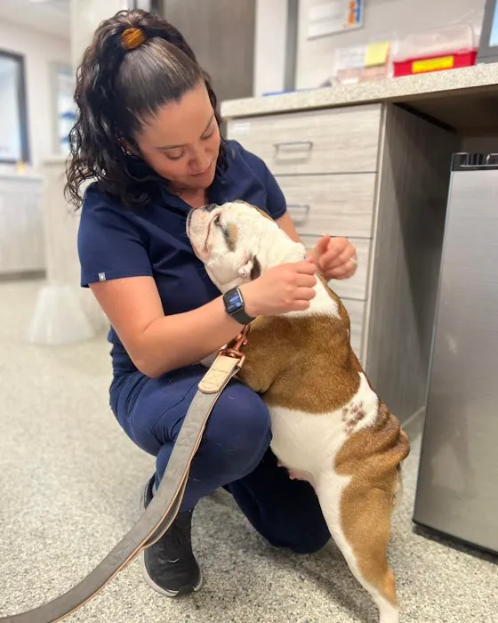 Coyne Veterinary Center - Portage Picture 9