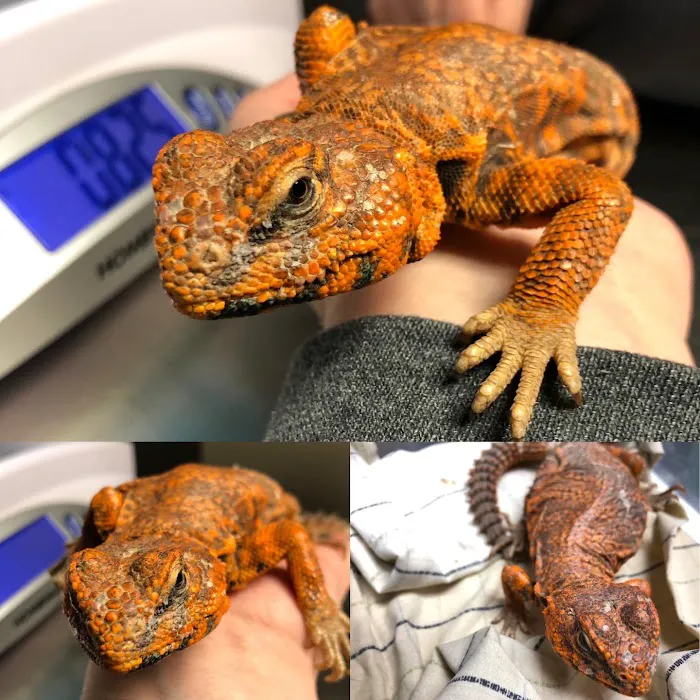 Arbor View Animal Hospital Picture 6