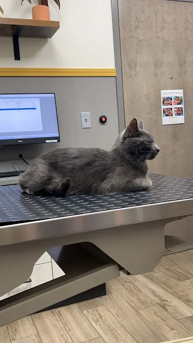 Lowell Animal Hospital Picture 7