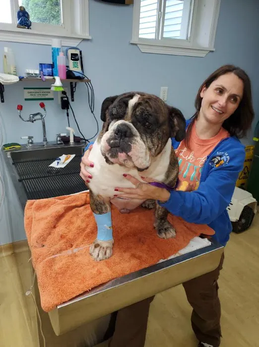 Bardens Animal Clinic Picture 4