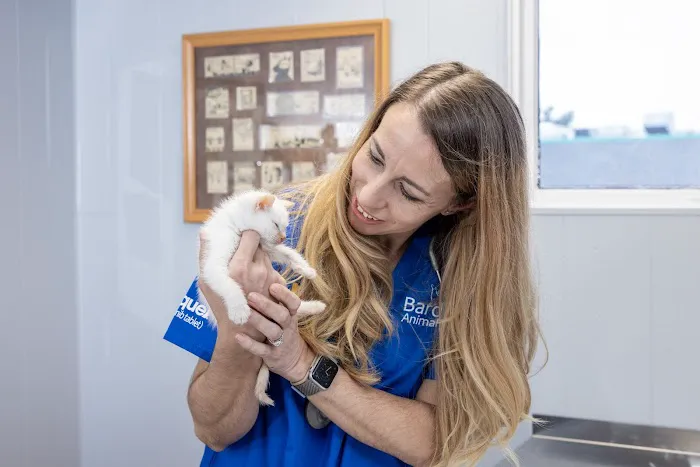 Bardens Animal Clinic Picture 10