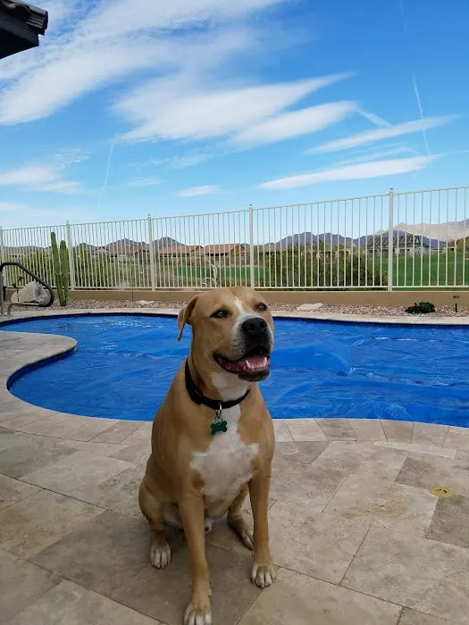 Cedar Way Veterinary Clinic Picture 2