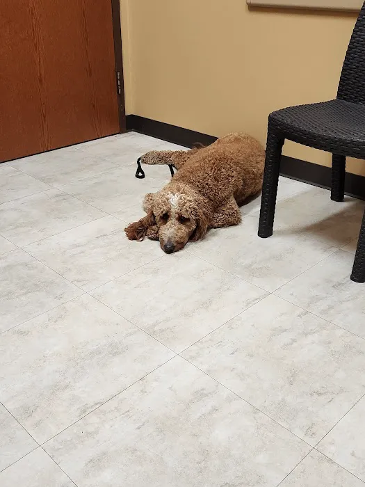 Cedar Way Veterinary Clinic Picture 7