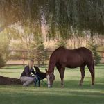Premier Equine Veterinary Service, LLC