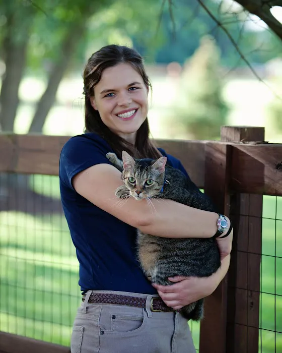 Premier Equine Veterinary Service, LLC Picture 5
