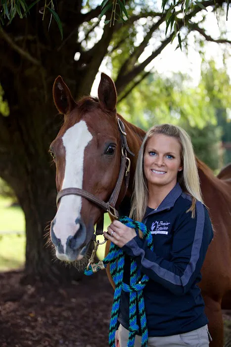 Premier Equine Veterinary Service, LLC Picture 4