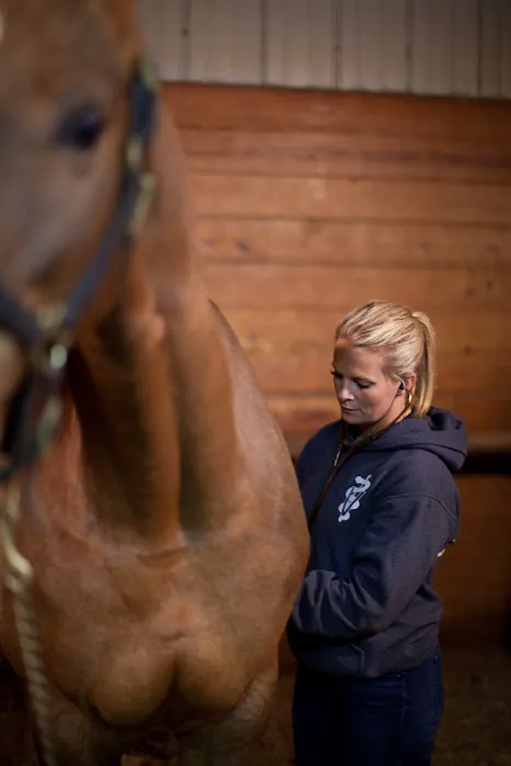 Premier Equine Veterinary Service, LLC Picture 3