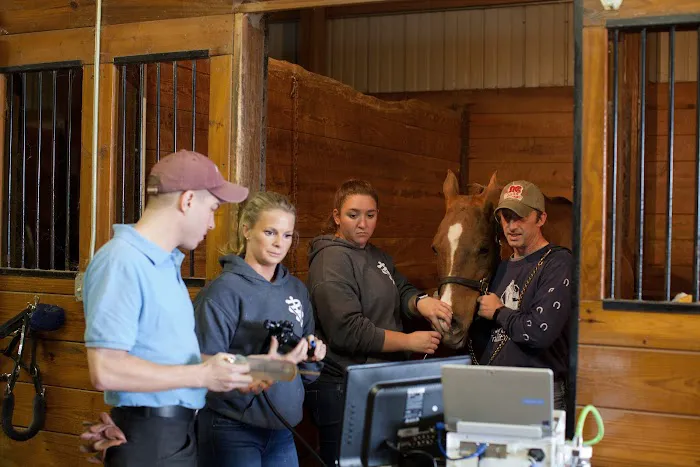 Premier Equine Veterinary Service, LLC Picture 6