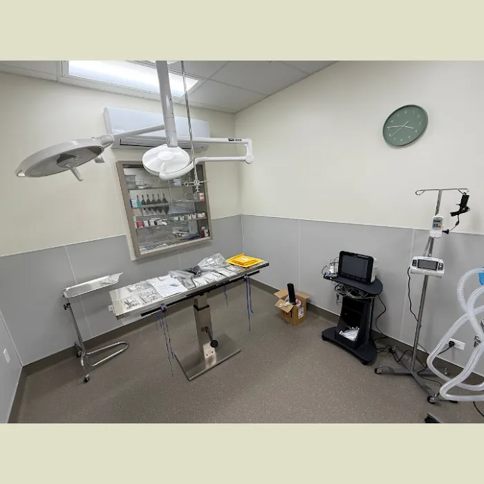 Green Family Veterinary Practice Picture 9