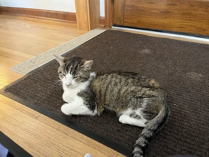 Warrenville Grove Animal Hospital Picture 3