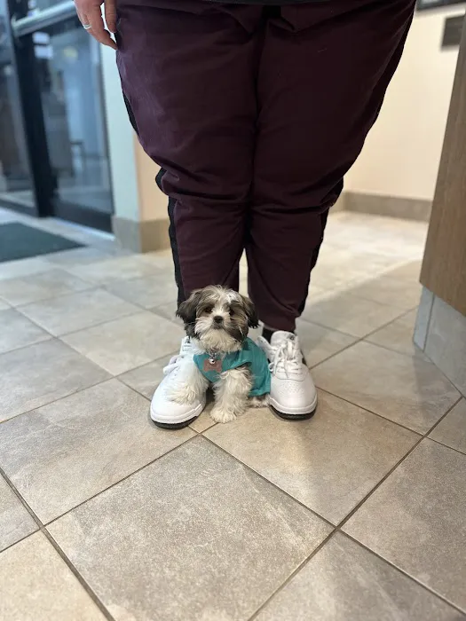 Warrenville Grove Animal Hospital Picture 6