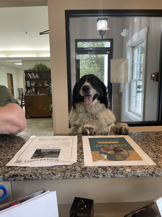 Warrenville Grove Animal Hospital Picture 7