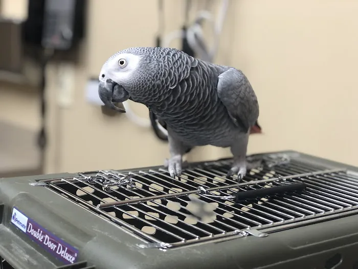 Indian Prairie Animal Hospital Picture 2