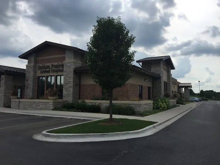 Indian Prairie Animal Hospital Picture 4