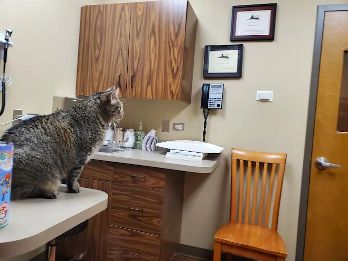 Indian Prairie Animal Hospital Picture 3