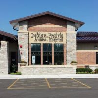 Indian Prairie Animal Hospital ico