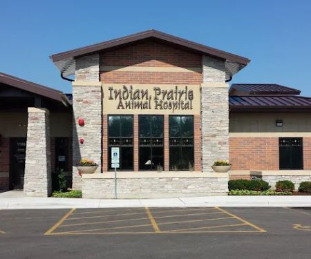 Indian Prairie Animal Hospital