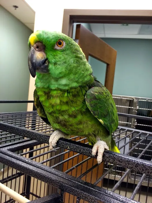 Indian Prairie Animal Hospital Picture 10
