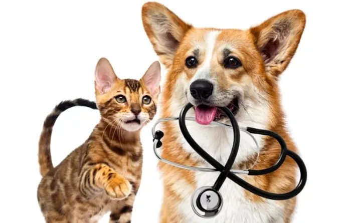 Sunshine Pet Hospital Picture 4