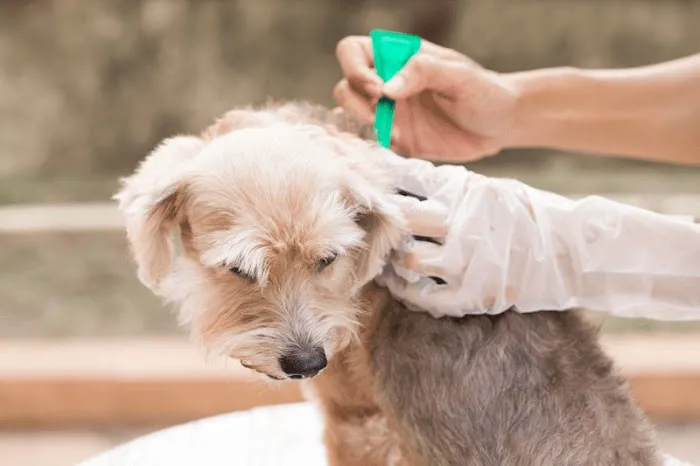 Sunshine Pet Hospital Picture 2