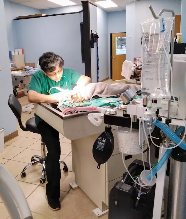 Sunshine Pet Hospital Picture 5