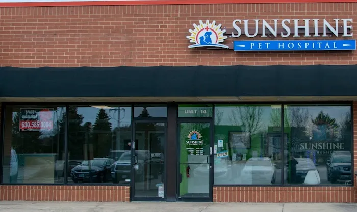 Sunshine Pet Hospital Picture 9