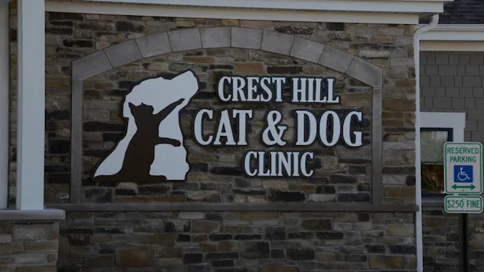 Crest Hill Cat and Dog Picture 10