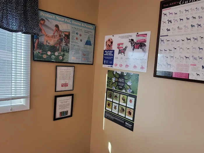 Animal Care Hospital Picture 3