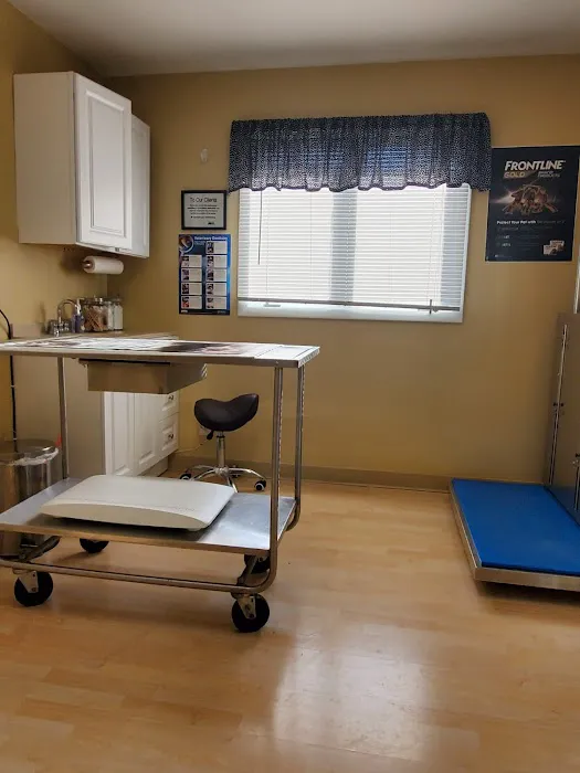 Animal Care Hospital Picture 1