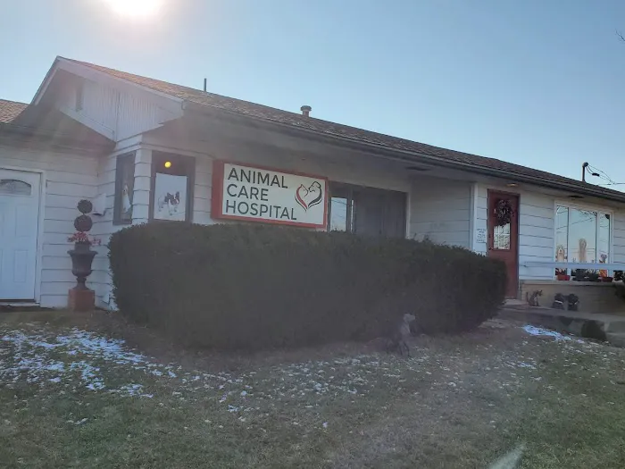 Animal Care Hospital Picture 2