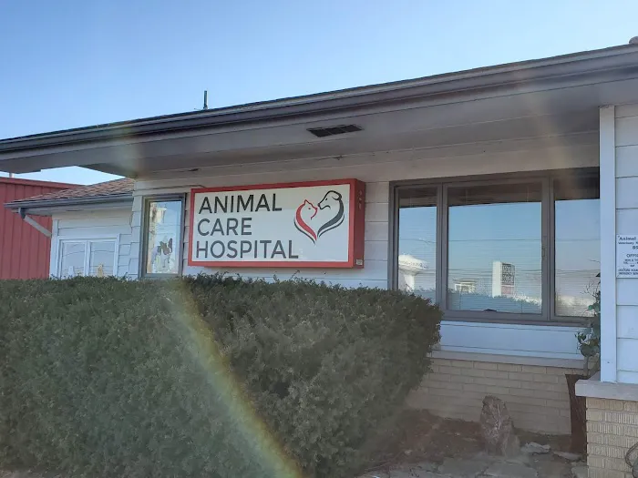 Animal Care Hospital Picture 5