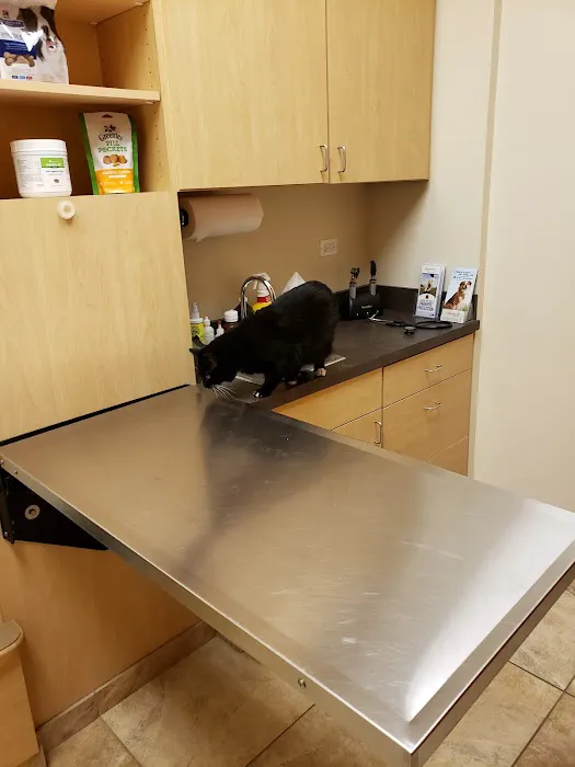 Oakhurst Animal Hospital Picture 2