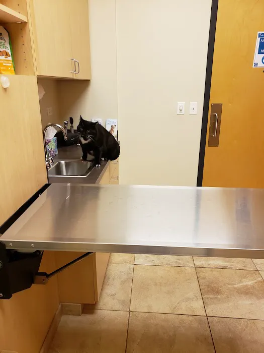 Oakhurst Animal Hospital Picture 1