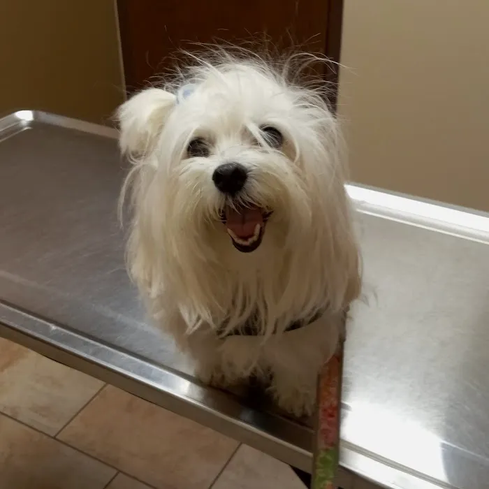 Oswego Animal Hospital Picture 8