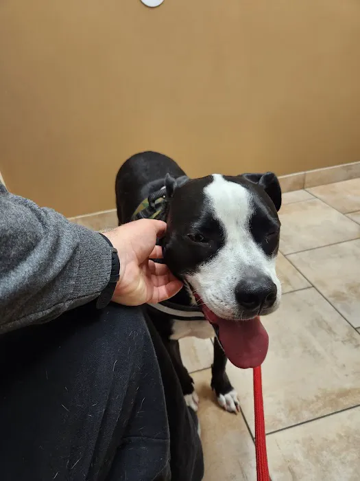 Oswego Animal Hospital Picture 7