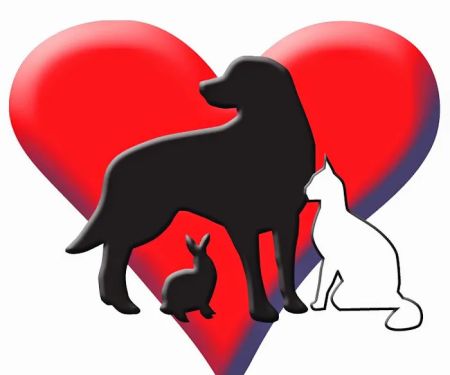 Kremer Veterinary Services