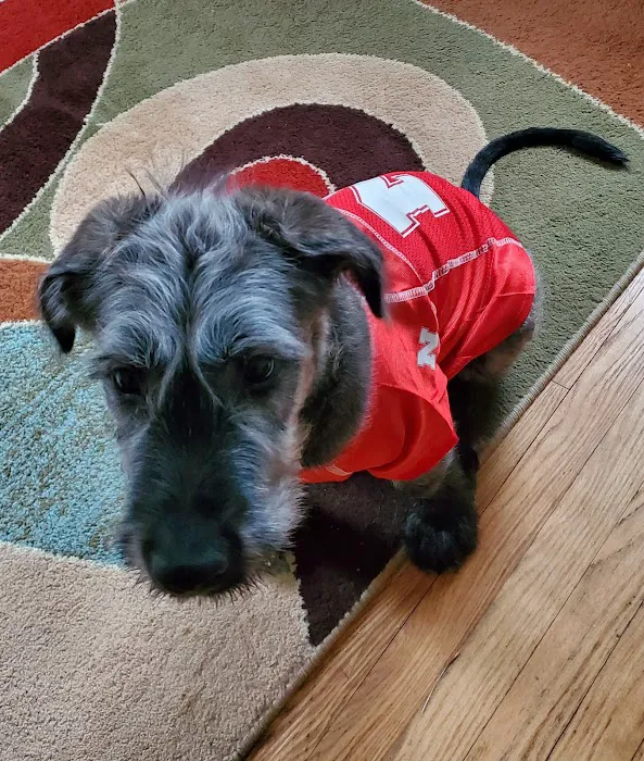 The Welcome Waggin' In-Home Veterinary Care Picture 8