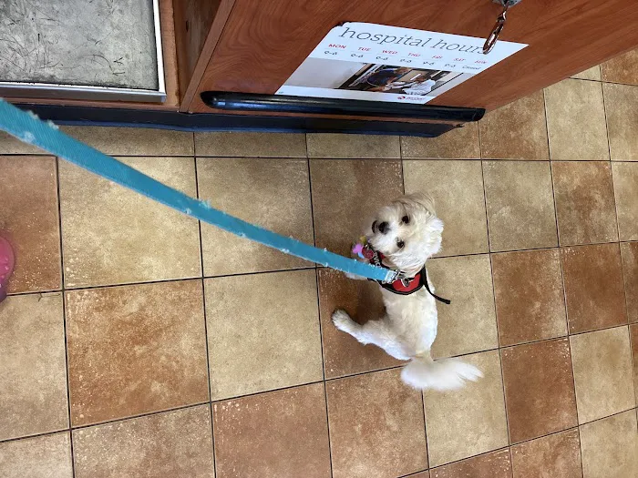 Banfield Pet Hospital Picture 4