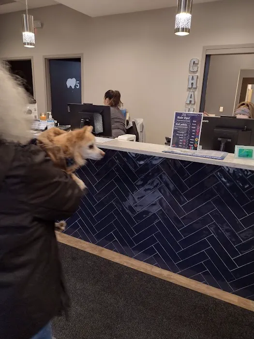 Crest Hill Animal Hospital Picture 3