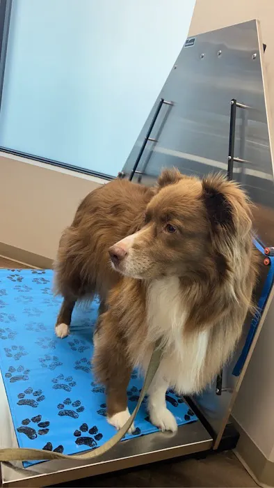 Crest Hill Animal Hospital Picture 10