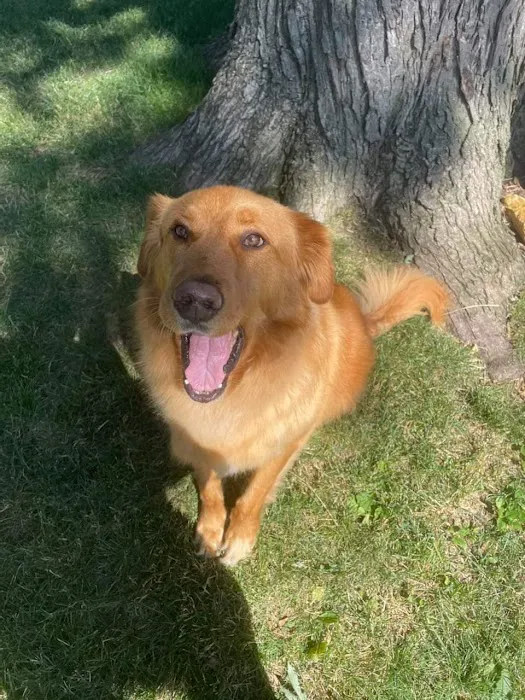 Rowland Animal Clinic Picture 4
